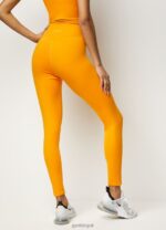 Gym King Sport 365 Legging Golden Orange Women Clothing J2PFB337